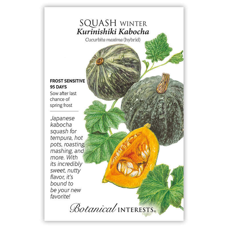 Seed packet for Kurinishiki Kabocha winter squash featuring an illustration of dark green mottled squash on the vine with a cut wedge revealing bright orange flesh and seeds, alongside text noting it is frost sensitive, matures in 95 days, and describes its sweet, nutty flavor for tempura, roasting, and mashing.
