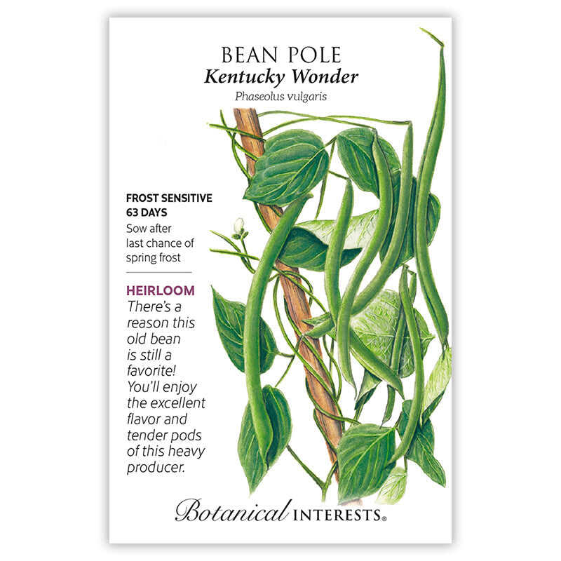 Seed packet for Kentucky Wonder Pole Bean featuring a botanical illustration of long, slender green pods and heart-shaped leaves twining up a wooden pole, with text noting it's frost sensitive, matures in 63 days, and is a heavy-producing heirloom variety.