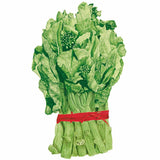 Illustration of a bundled bunch of Chinese broccoli (kailaan), showing thick pale-green stalks with small budding florets and broad ruffled leaves, tied together with red raffia against a white background.