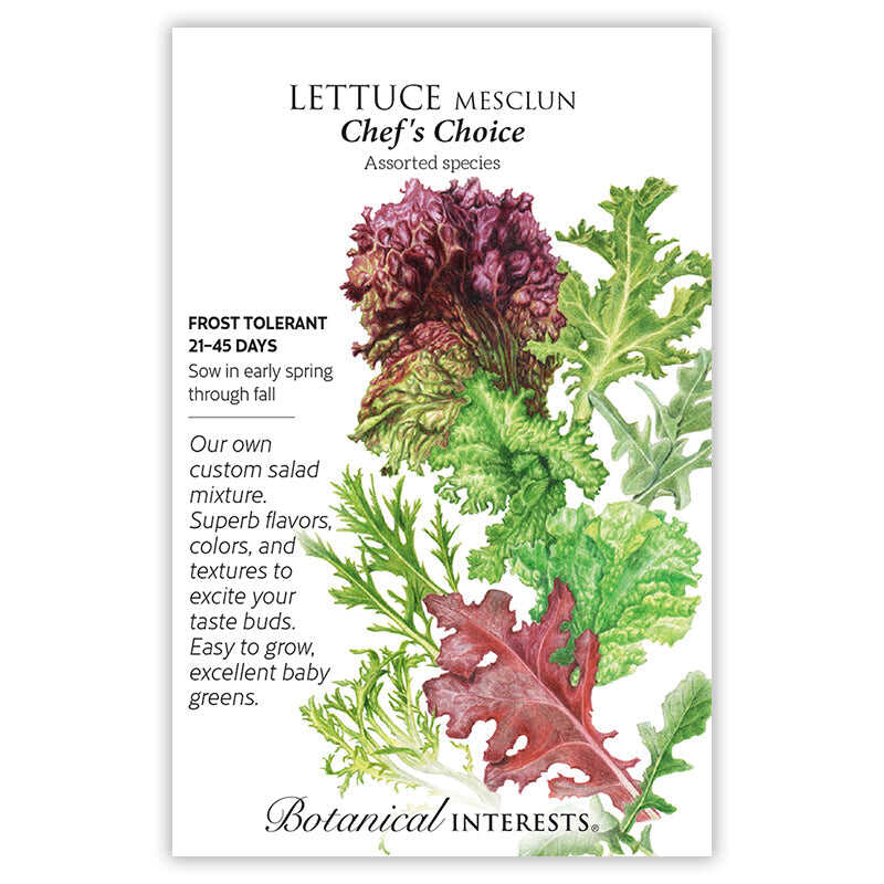 Front of a Botanical Interests seed packet for Chef's Choice Mesclun Lettuce Seeds featuring a botanical illustration of green and dark red ruffled salad greens with packet details and branding.