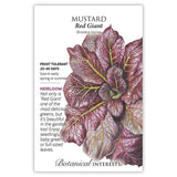 Seed packet for Red Giant Mustard featuring a detailed illustration of a rosette with deep burgundy, heavily crinkled leaves and yellow-green veins, alongside text noting it's frost tolerant, heirloom, and ready in 20-40 days.
