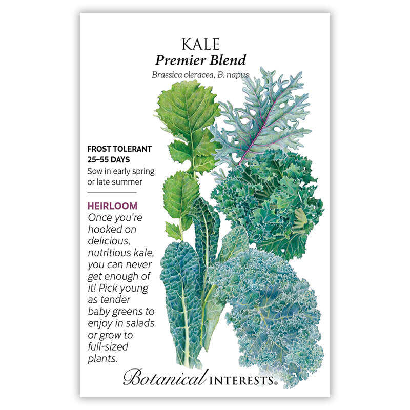 Front of a Botanical Interests seed packet for Premier Blend Kale Seeds displaying plant characteristics, growing instructions, and a botanical illustration of various kale leaves including Lacinato, curly green, red russian, and blue curled varieties.