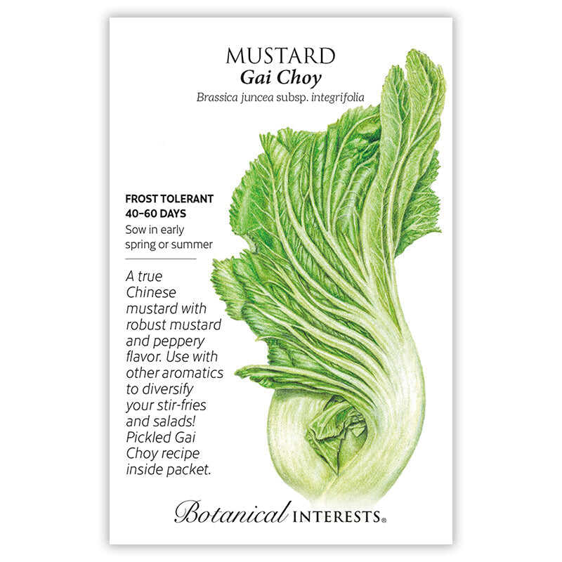 Seed packet for Gai Choy Mustard featuring a detailed illustration of a pale green, ribbed leafy head with a thick tapered stalk, plus text noting frost tolerance, 40–60 day maturity, and a pickled Gai Choy recipe inside.