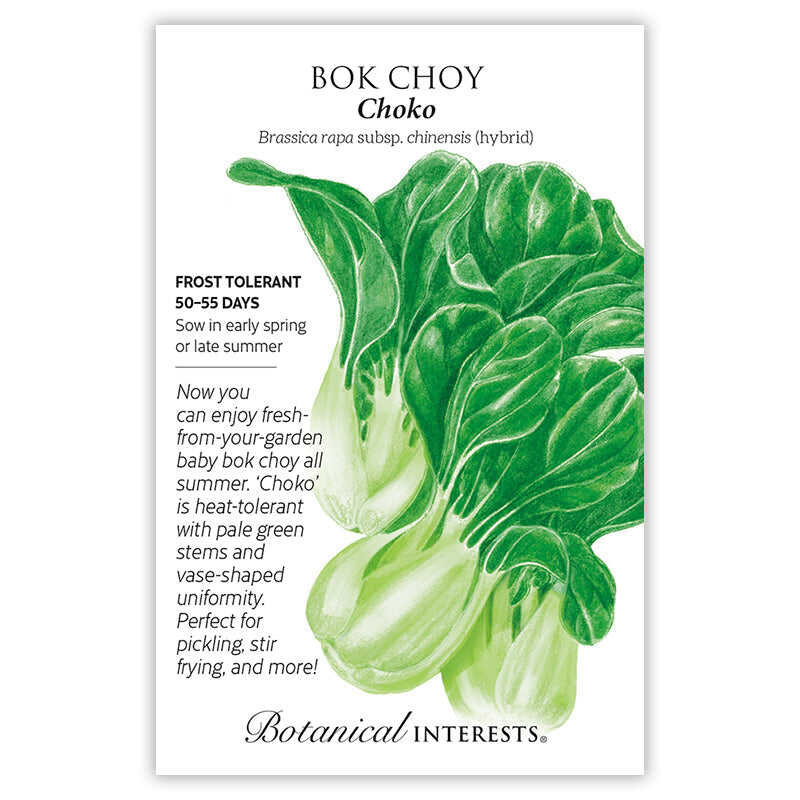 Seed packet for Bok Choy with botanical illustration and botanical information on a white background