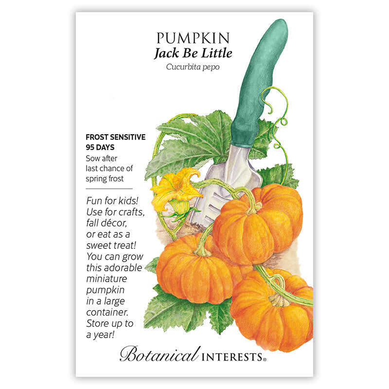 Botanical Interests seed packet for Jack Be Little Pumpkin, illustrated with small ribbed orange pumpkins, a yellow blossom, trailing vine and green leaves beside a garden trowel, with printed text noting it's frost sensitive, matures in 95 days, and suits containers, crafts or eating.