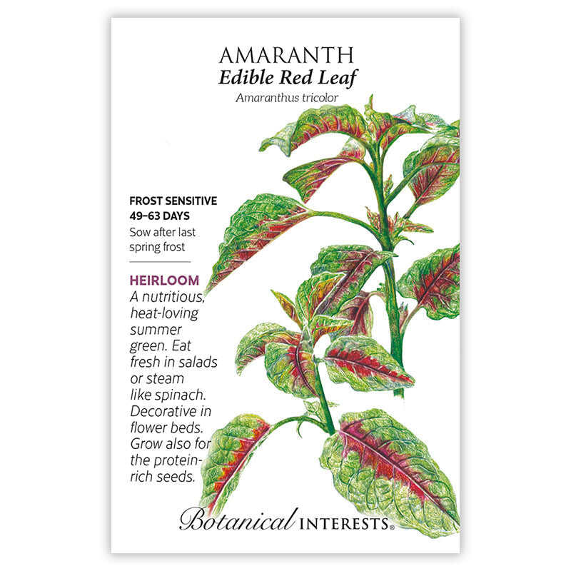 Botanical Interests seed packet for Edible Red Leaf Amaranth, illustrated with green leaves splashed with red-purple veining, noting it's frost sensitive, matures in 49-63 days, and describing it as a heirloom heat-loving green for salads, steaming, or ornamental use.