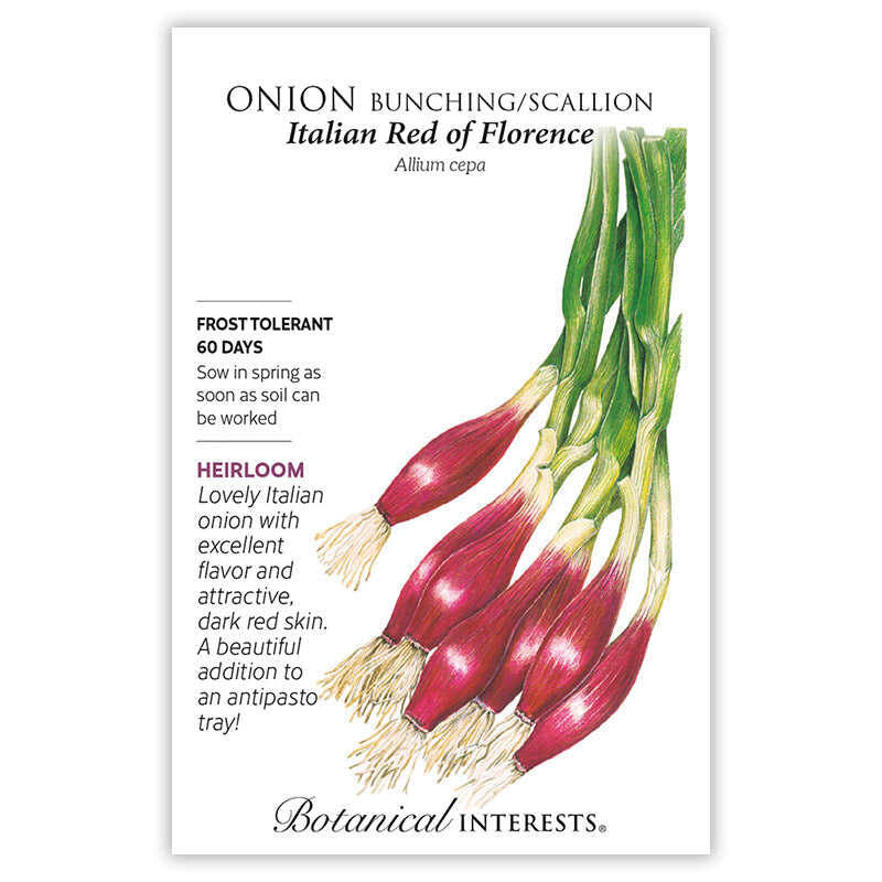 Seed packet for Italian Red of Florence bunching onion, illustrated with an elongated red-skinned bulb bundle and green stalks, with text noting it's frost tolerant, ready in 60 days, and an heirloom variety prized for antipasto trays.