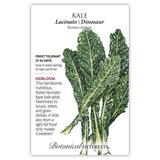 Lacinato Dinosaur Kale seed packet with leaf illustration and botanical information on a white background