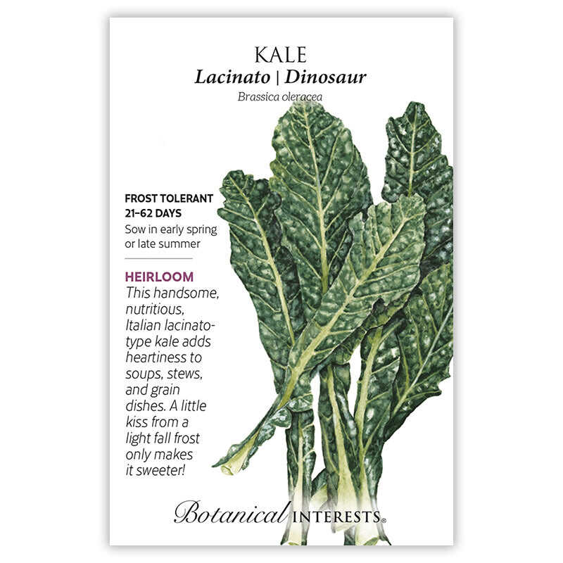 Lacinato Dinosaur Kale seed packet with leaf illustration and botanical information on a white background