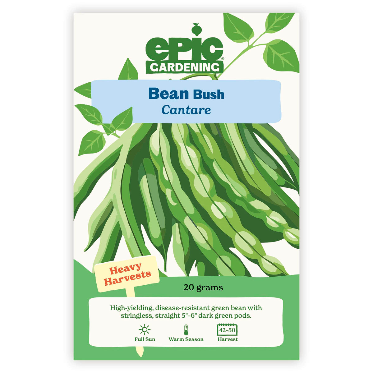An Epic Gardening Cantare Bush Bean seed packet featuring an illustration of green bean pods on leafy stems, a "Heavy Harvests" callout, and 20 grams seed weight on a plain white background.