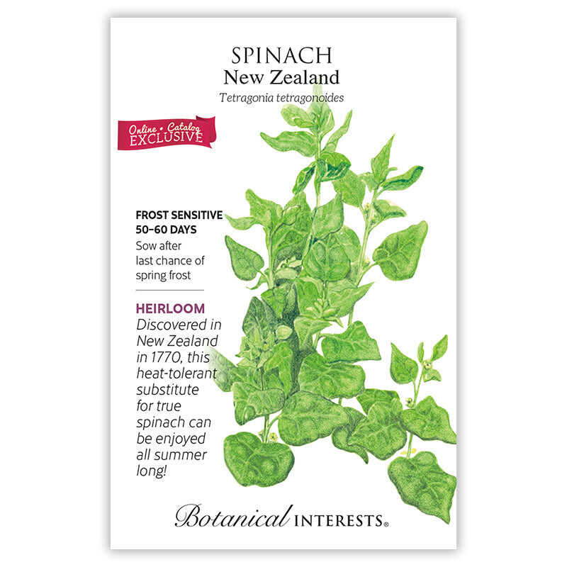Seed packet for Spinach New Zealand with botanical illustration and information on a white background