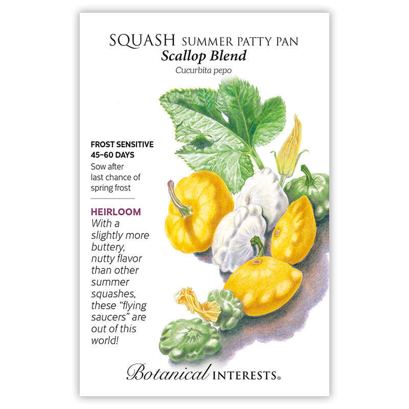 Seed packet for Scallop Blend Summer Patty Pan Squash, illustrated with scalloped yellow, white, and green squash and a large leaf with a blossom, plus text noting it's frost sensitive, heirloom, matures in 45–60 days, and has a buttery, nutty flavor.