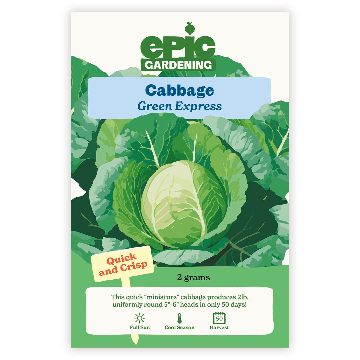 An Epic Gardening Green Express Cabbage seed packet featuring a green head of cabbage illustration, "Quick and Crisp" callout, and 2 grams seed weight on a plain white background.