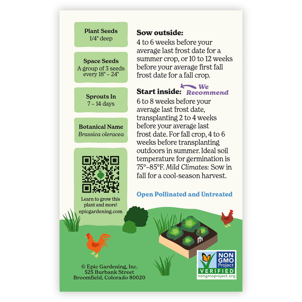 Back of an Epic Gardening Green Express Cabbage seed packet showing planting instructions, a QR code, growing tips, and a garden bed illustration on a plain white background.
