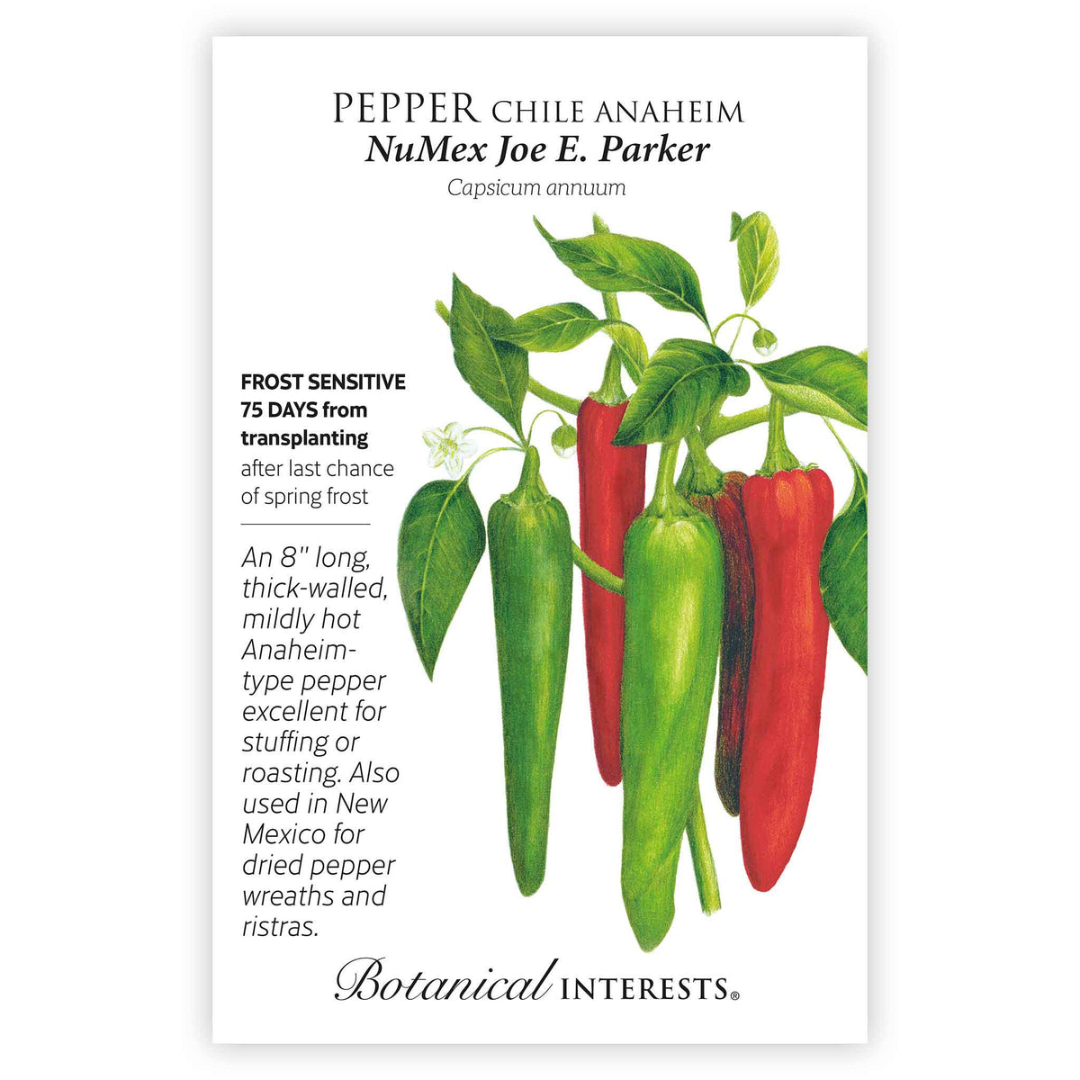 Seed packet for NuMex Joe E. Parker Chile Anaheim pepper, illustrated with clusters of long, tapered green and red peppers on a leafy stem, plus text noting frost sensitivity, 75 days to maturity, and use for stuffing, roasting, or dried wreaths and ristras.