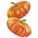 Illustration of two flattened, deeply ribbed Cinderella pumpkins with rich orange skin and thick curved stems, shown on a white background.