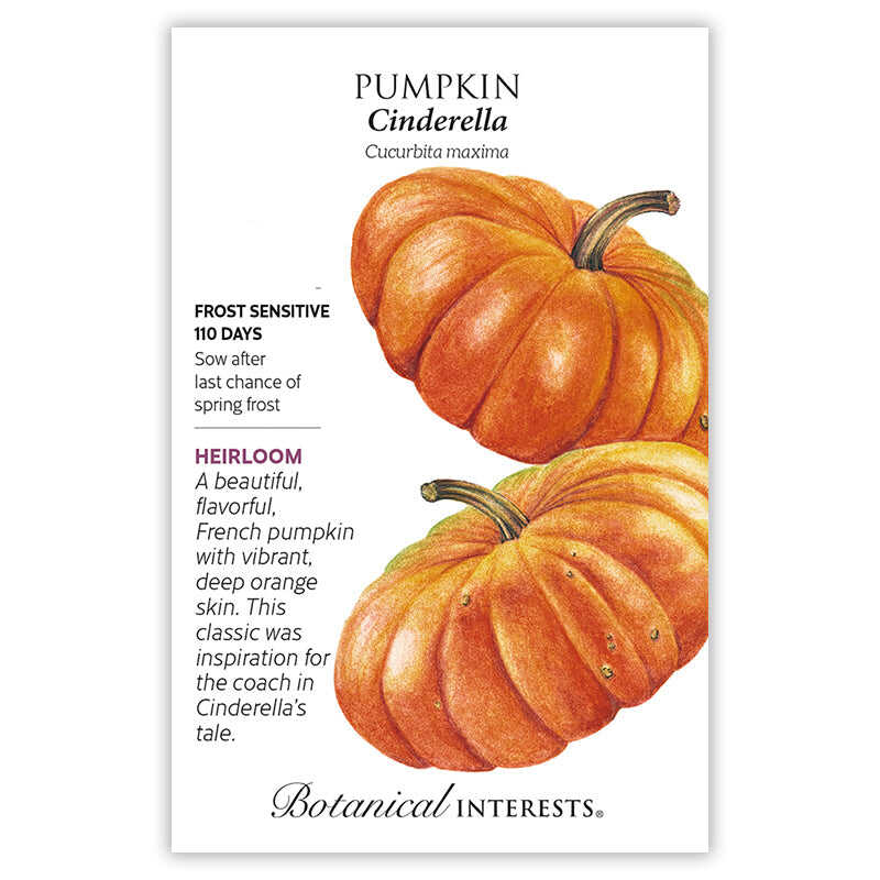 Seed packet for Cinderella Pumpkin featuring an illustration of two flattened, deeply ribbed, vibrant orange pumpkins, with printed text noting it's an heirloom French variety, frost sensitive, maturing in 110 days.