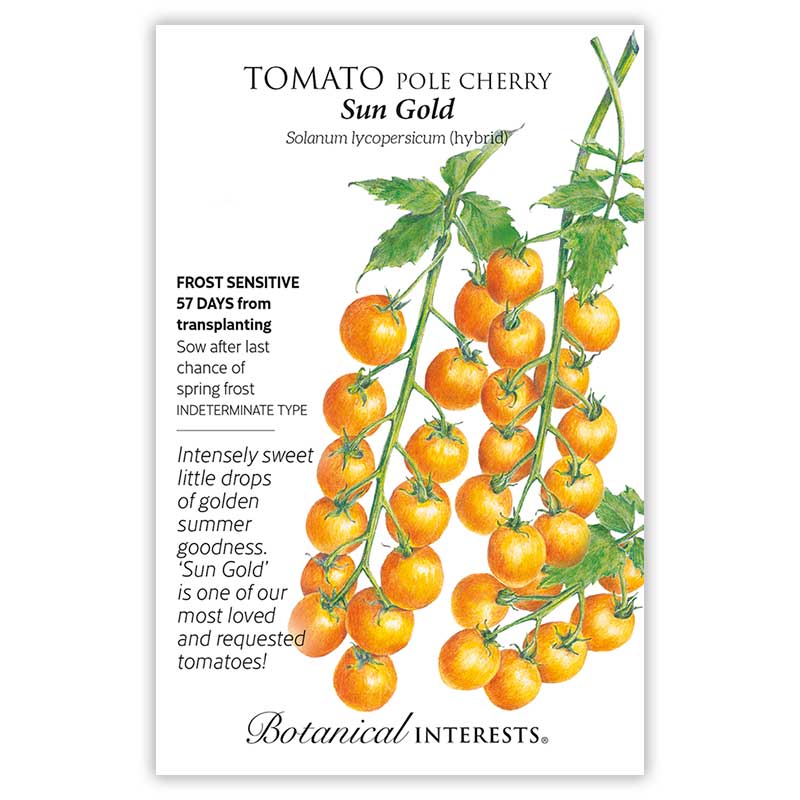 Seed packet for Tomato Pole Cherry Sun Gold with illustrations and botanical information.