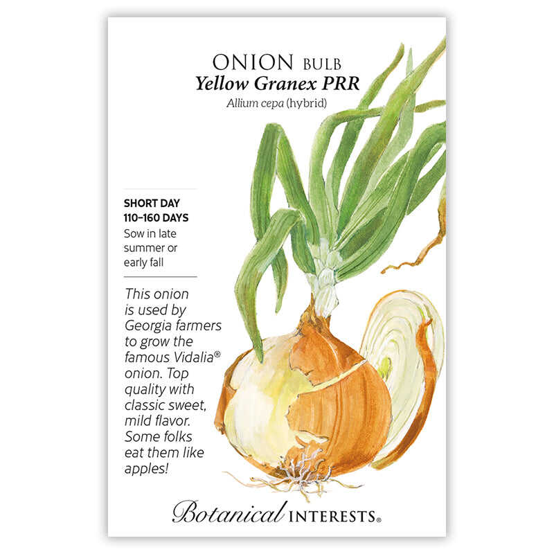 Seed packet for Yellow Granex PRR bulb onion, illustrated with a golden onion bulb, cut half, and leafy green stalks, with text noting it's a short-day variety used to grow Vidalia onions, sown in late summer or fall, 110-160 days to harvest.