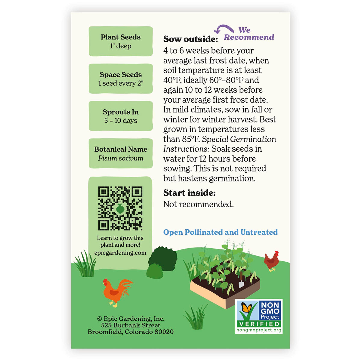 Back of an Epic Gardening Oregon Giant Snow Pea seed packet showing planting instructions, sowing guidelines, a QR code, and a garden bed illustration on a plain white background.