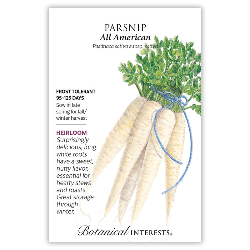 Seed packet for All American Parsnip featuring an illustration of long, tapered ivory-white roots with leafy green tops tied in a blue ribbon, alongside printed text noting frost tolerance, a 95-125 day maturity, and heirloom sweet, nutty flavor good for storage.