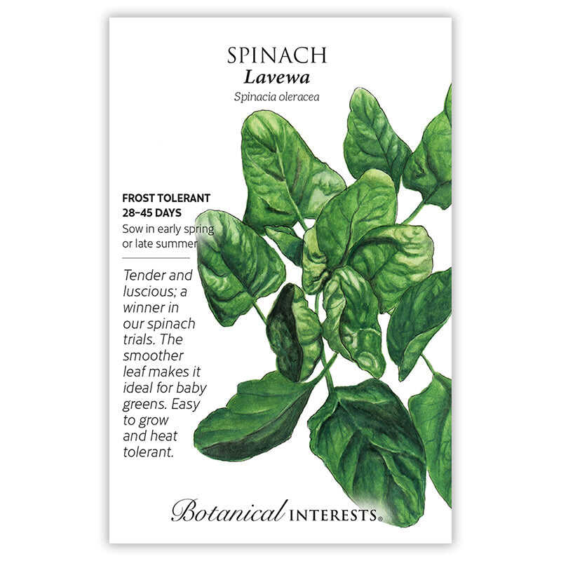 Spinach seed packet with botanical illustration and information on a white background