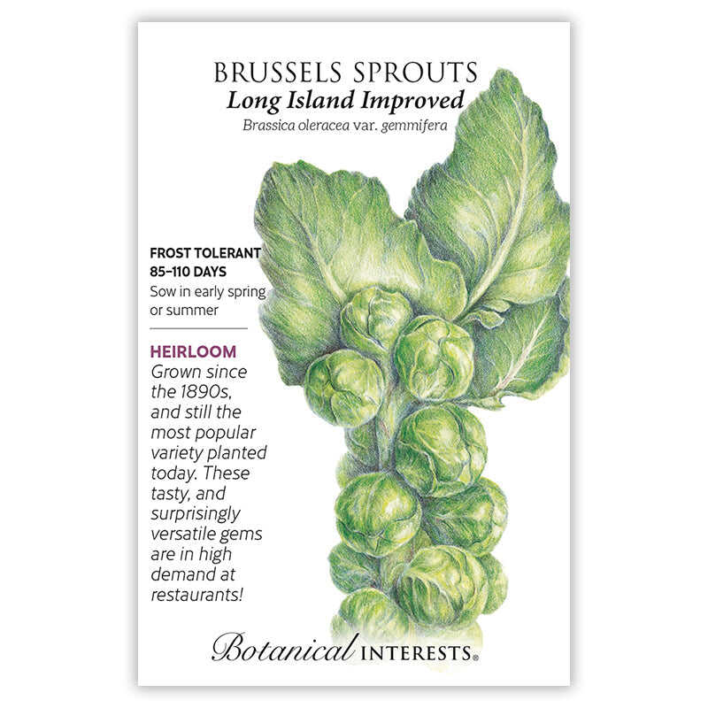 Seed packet for Long Island Improved Brussels Sprouts featuring a detailed illustration of a leafy stalk lined with round green sprouts, alongside text noting frost tolerance, an 85–110 day maturity, and heirloom history dating to the 1890s.