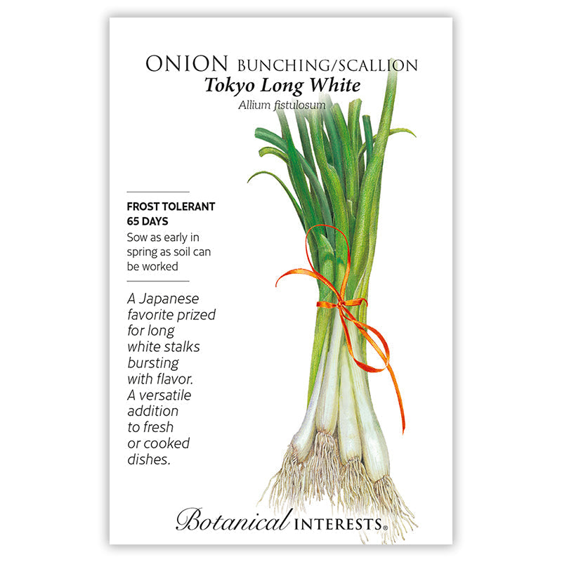 Seed packet for Onion Bunching/Scallion Tokyo Long White with green onions and its botanical information on a white background.