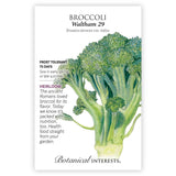 Botanical Interests seed packet for Waltham 29 heirloom broccoli, illustrated with a detailed watercolor of a broccoli head and stalk, plus text noting it's frost tolerant, matures in 75 days, and a brief history of broccoli's nutritional value.