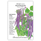 Front of an organic Botanical Interests seed packet for Royal Burgundy Bush Bean Seeds featuring botanical information and  illustration of bright violet-purple bean pods on green vines with purple flowers.
