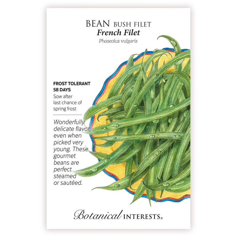 Bush Bean Filet seed packet with botanical illustration and botanical information.