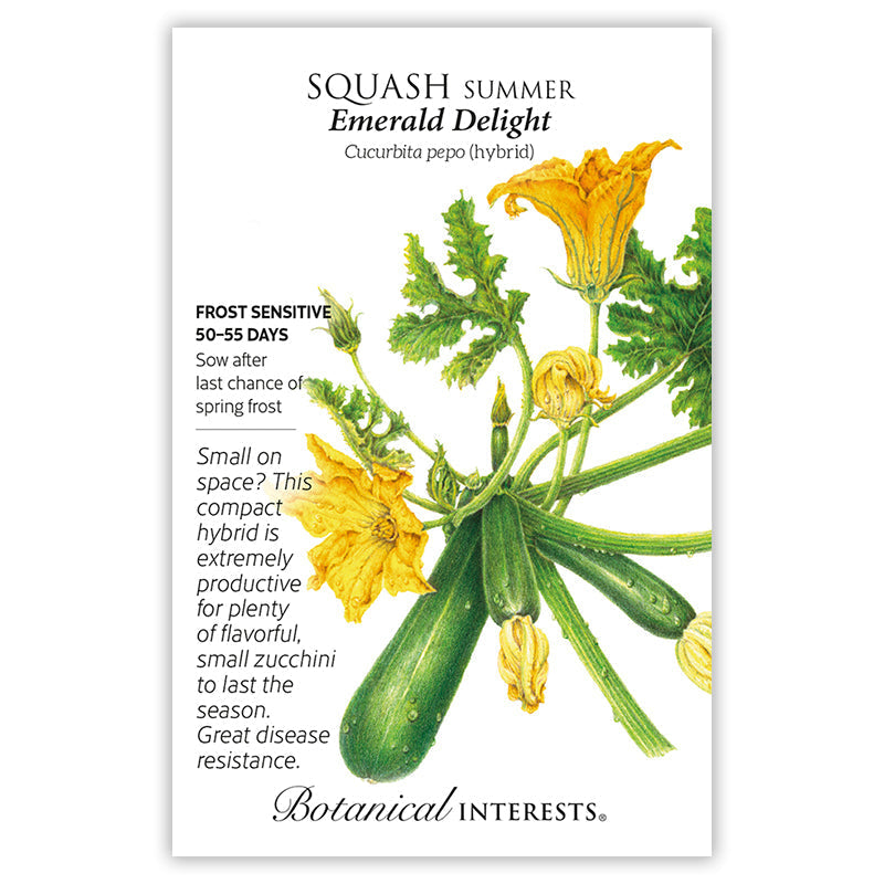 Seed packet for Squash Summer Emerald Delight showing a detailed botanical illustration of dark green zucchini with dew droplets, yellow blossoms, and serrated leaves, alongside text noting it's frost sensitive, ready in 50-55 days, and a compact, productive, disease-resistant hybrid.