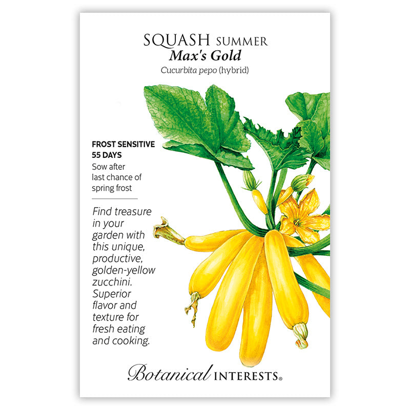 Seed packet for Max's Gold Summer Squash featuring an illustration of golden-yellow zucchini fruits with green stems, leaves, and a yellow blossom, alongside text noting frost sensitivity, a 55-day growing period, and a description of its productive, superior-tasting fruit.