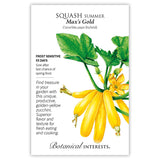 Seed packet for Max's Gold Summer Squash featuring an illustration of golden-yellow zucchini fruits with green stems, leaves, and a yellow blossom, alongside text noting frost sensitivity, a 55-day growing period, and a description of its productive, superior-tasting fruit.