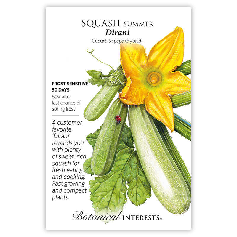 Dirani Summer Squash seed packet with botanical illustration and botanical information.