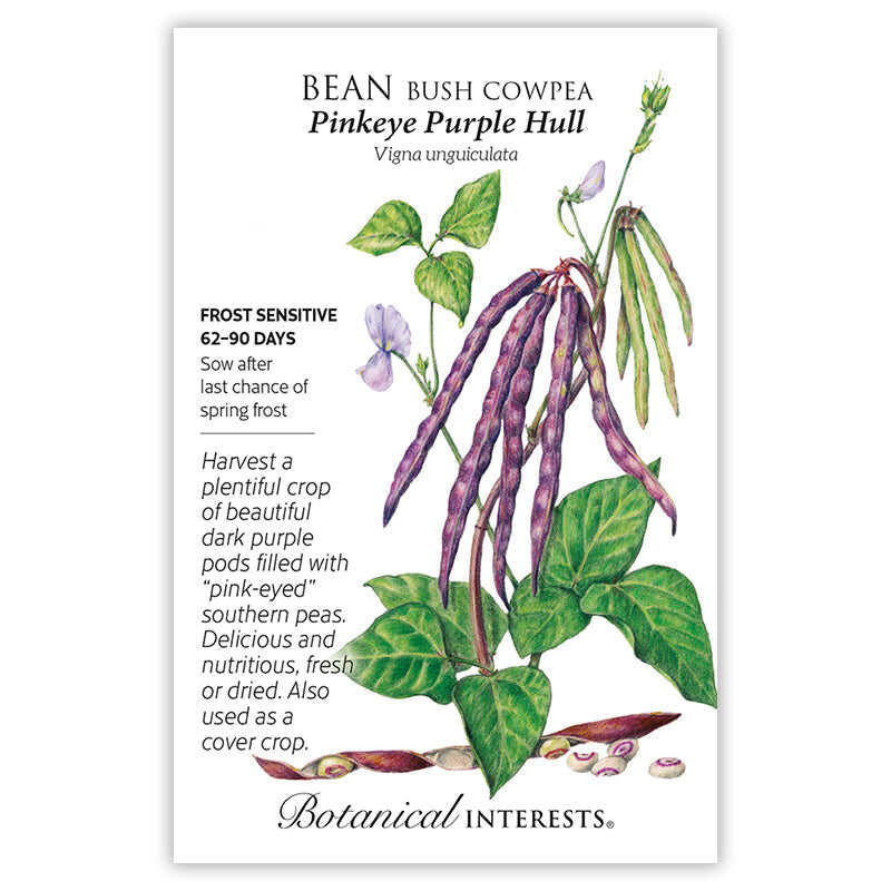 Seed packet for Pinkeye Purple Hull Bush Cowpea Bean featuring a botanical illustration of dark purple pods, green trifoliate leaves, and lavender flowers on the vine, with split pods showing cream and pink speckled peas below; text notes frost sensitivity, a 62–90 day maturity, and describes the crop as good fresh, dried, or as a cover crop.
