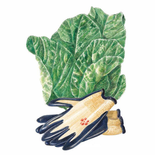Illustration of a large, crinkled dark green Florida Broadleaf mustard leaf with pale veining, paired with a pair of canvas gardening gloves featuring navy rubberised fingers and palms.