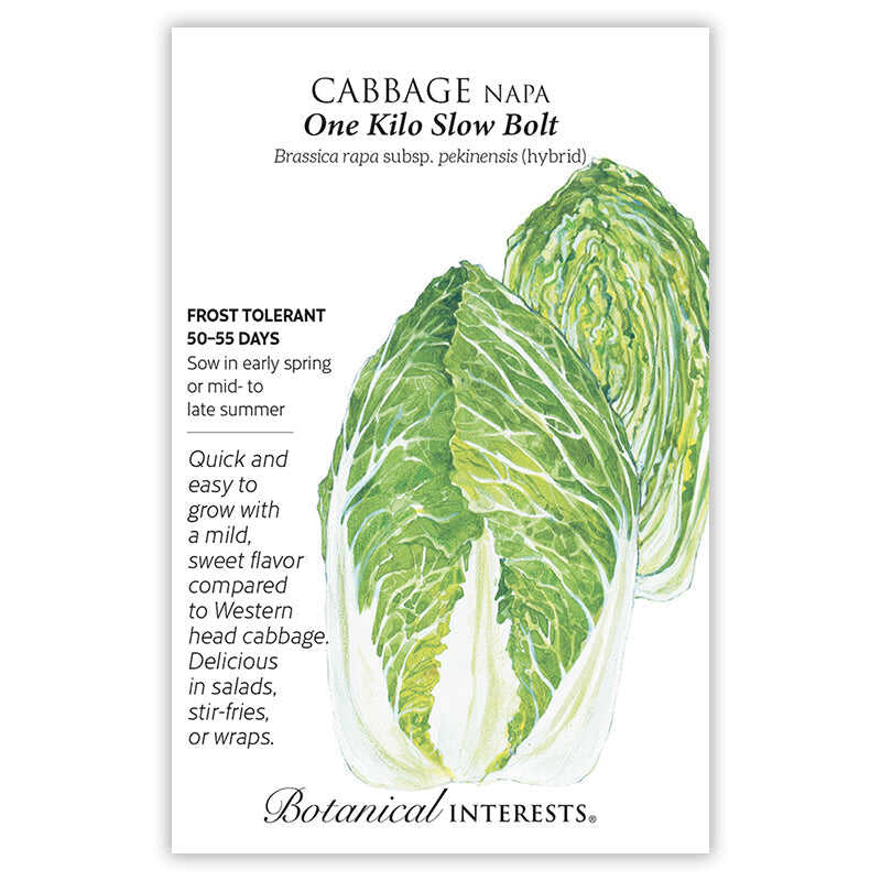 Seed packet for Botanical Interests One Kilo Slow Bolt Napa Cabbage featuring a watercolor illustration of two elongated, pale green cabbage heads with tightly ruffled leaves, plus text noting it's frost tolerant, matures in 50-55 days, and describes its mild, sweet flavor for salads, stir-fries, or wraps.