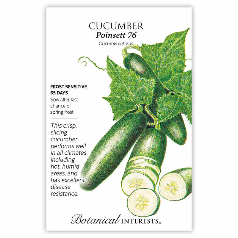 Seed packet for Cucumber Poinsett 76 with illustrations and botanical information on a white background
