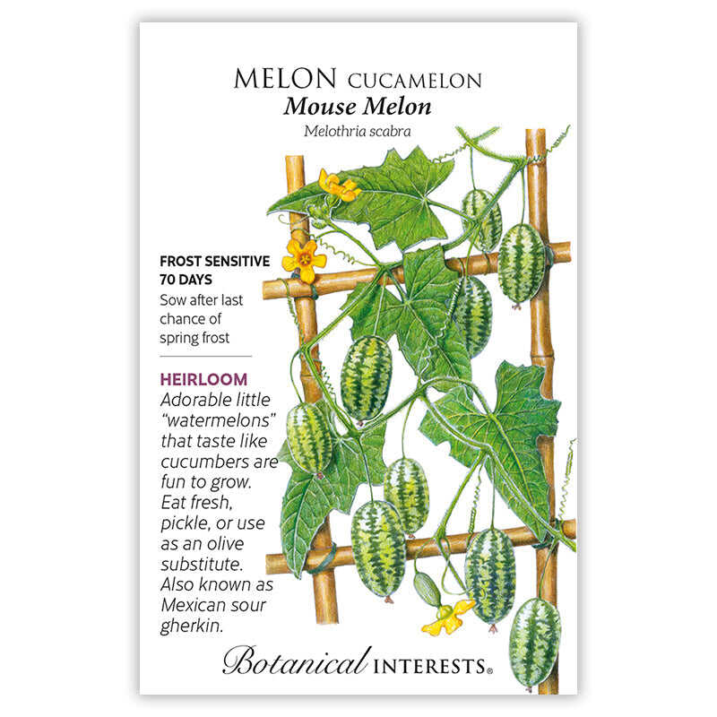 Seed packet for Melon Cucamelon Mouse Melon with botanical illustration and growing information.