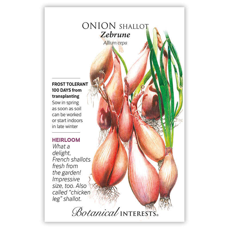 Seed packet for Zebrune Shallot Onion featuring an illustration of elongated, coppery-pink bulbs with green shoots and roots, alongside text noting it's frost tolerant, heirloom, 100 days from transplanting, and nicknamed the "chicken leg" shallot.