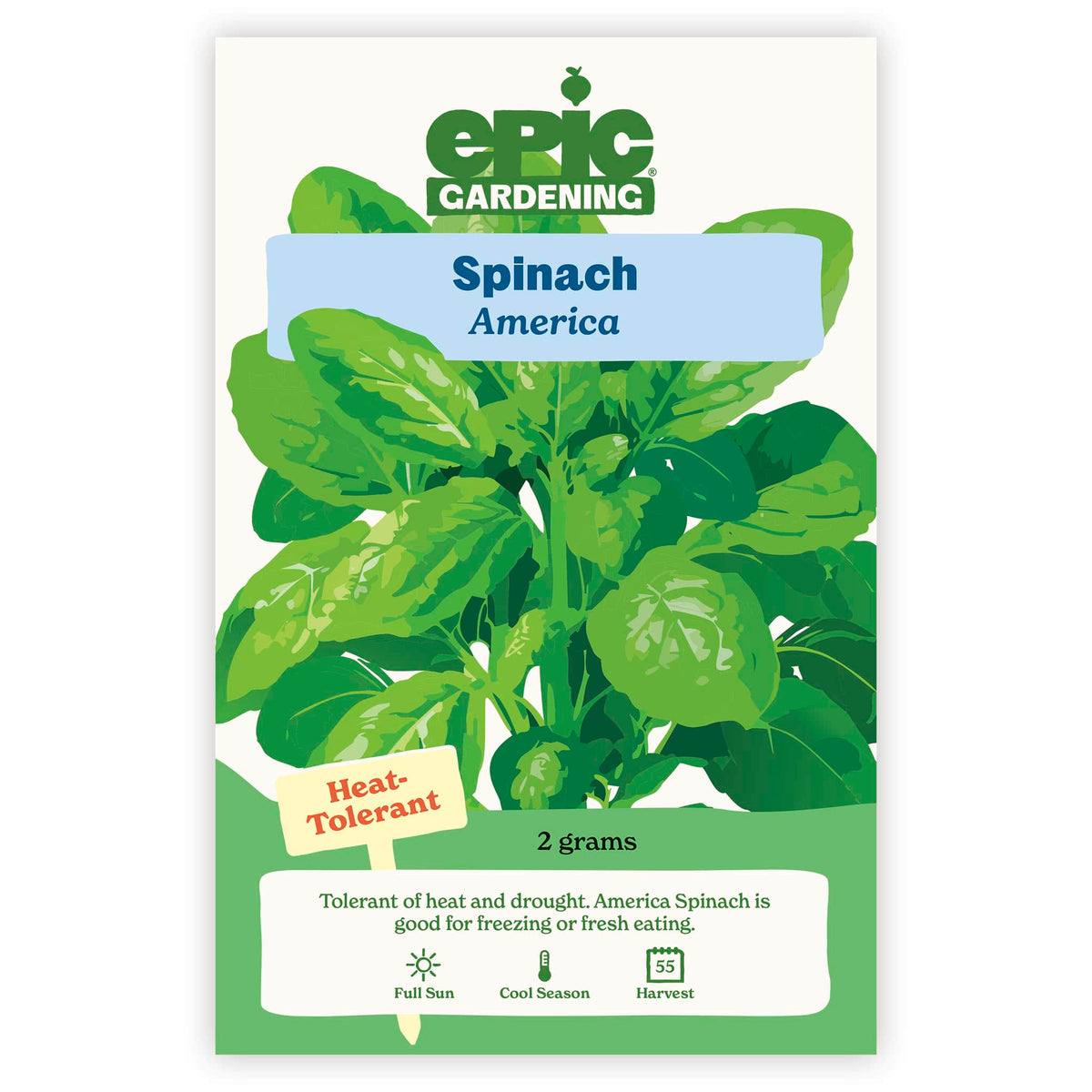 An Epic Gardening America Spinach seed packet featuring an illustration of green spinach leaves, a "Heat-Tolerant" callout, and 2 grams seed weight on a plain white background.
