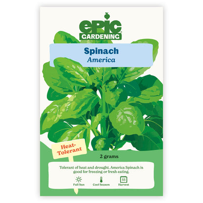 An Epic Gardening America Spinach seed packet featuring an illustration of green spinach leaves, a "Heat-Tolerant" callout, and 2 grams seed weight on a plain white background.