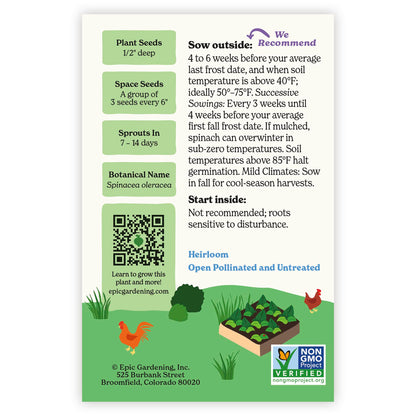 Back of an Epic Gardening America Spinach seed packet showing planting instructions, sowing guidelines, a QR code, and a garden bed illustration on a plain white background.