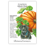 Seed packet for Atlantic Giant Pumpkin featuring an illustration of a huge ribbed orange pumpkin with green vines and leaves behind a black Labrador for scale, alongside text noting frost sensitivity, a 120-day growing period, and potential for pumpkins over 200 pounds.