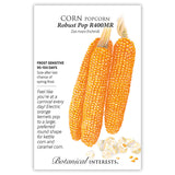 Botanical Interests seed packet for Robust Pop R400MR popcorn corn, illustrated with three husked ears of bright orange kernels and popped white popcorn below, alongside text noting frost sensitivity, a 95-100 day maturity, and a description of the kernels' round shape suited for kettle corn and caramel corn.