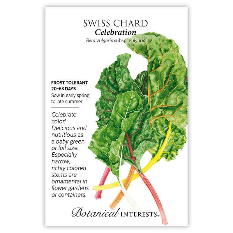 Seed packet for Celebration Swiss Chard, illustrated with glossy crinkled green leaves and vividly colored red, orange, yellow, and white stems, with text noting frost tolerance, 20–63 day maturity, and sowing from early spring to late summer.