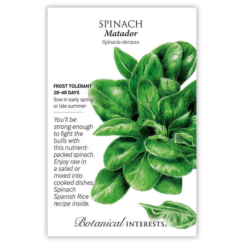 Botanical Interests seed packet for Matador Spinach featuring a detailed illustration of a dense, dark green crinkled-leaf rosette, with printed text noting frost tolerance, a 28–48 day maturity, and sowing and recipe guidance.