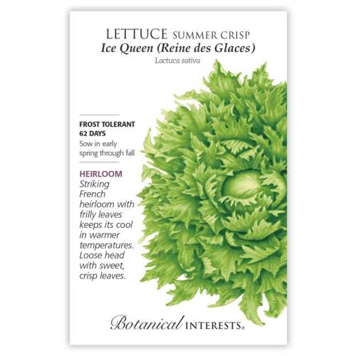 Seed packet for Ice Queen (Reine des Glaces) Summer Crisp lettuce, illustrated with a frilly, pale green head of lettuce, and text noting it's a frost-tolerant French heirloom maturing in 62 days with sweet, crisp leaves.
