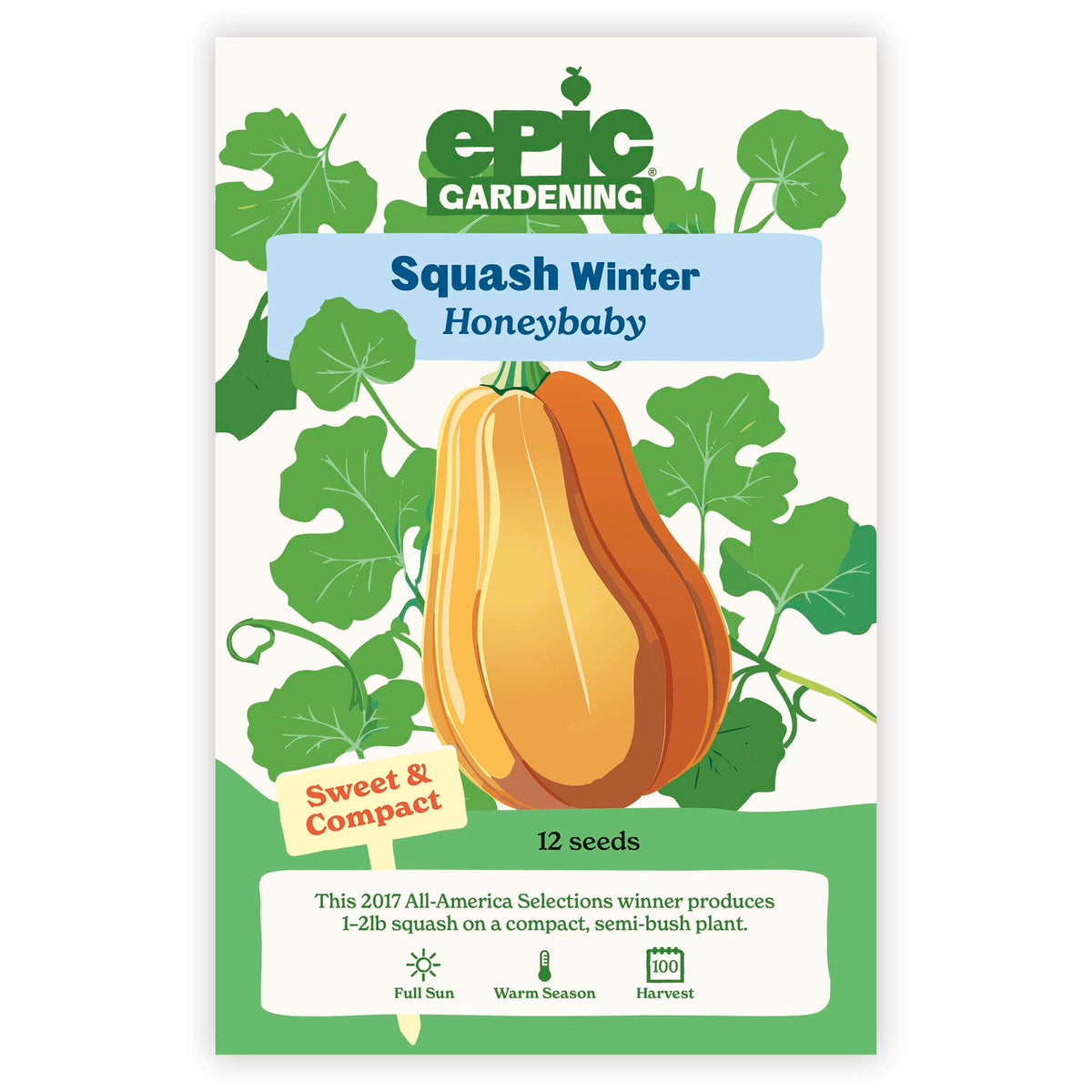 An Epic Gardening Honeybaby Winter Squash seed packet featuring an illustration of a light orange squash on green vines, a "Sweet & Compact" callout, and 12 seeds count on a plain white background.
